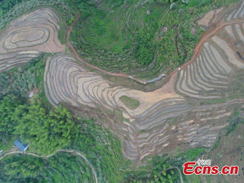 Terraced fields in eastern county form amazing views
