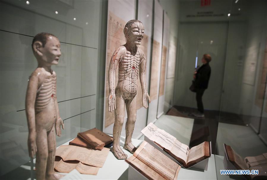 New York museum unveils groundbreaking show on traditional Chinese medicine