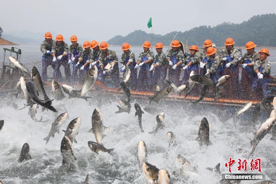 Giant net used for fishing in Qiandao Lake