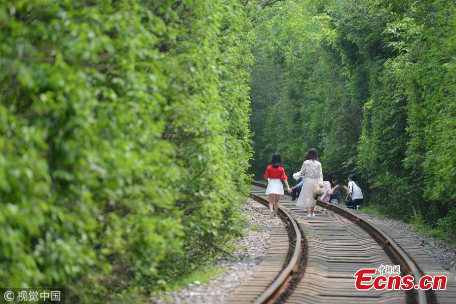 Nanjing's offbeat 'tunnel of love' attracts visitors 