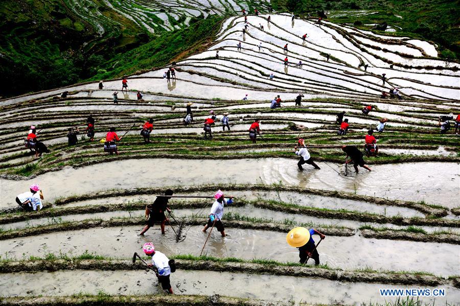 Spring plough kicks off in China's Guangxi