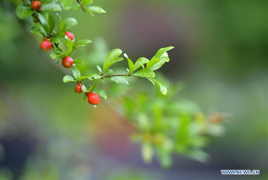 Stunning scenery at river bank in Xuanen County, Hubei