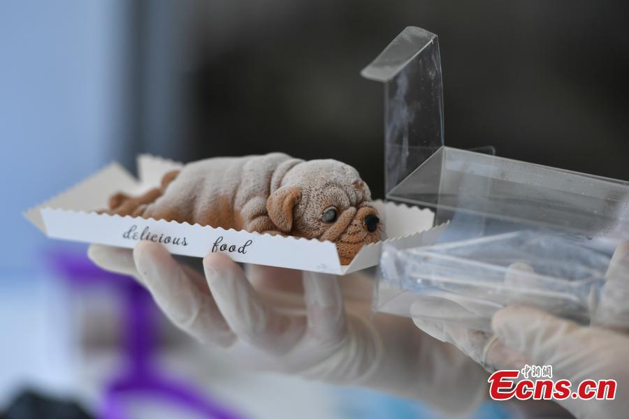 Cake store becomes online sensation for lifelike designs