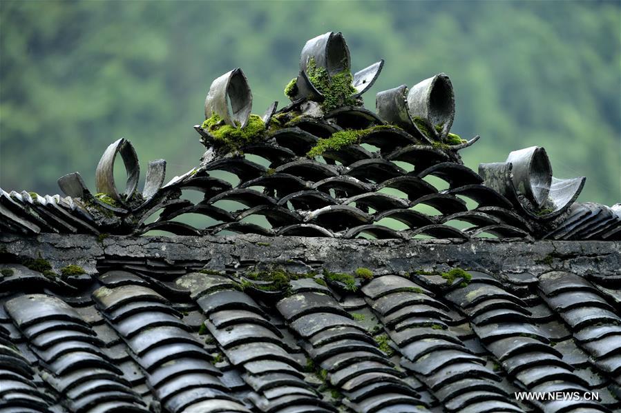 In pics: ancient stilt houses of Tujia 
