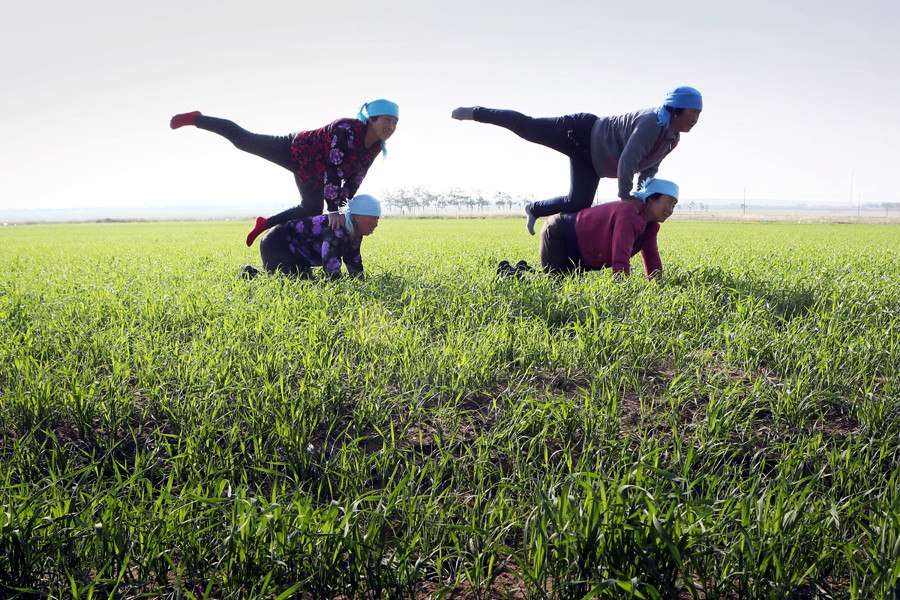 Yoga helps villagers cope with aches, pains